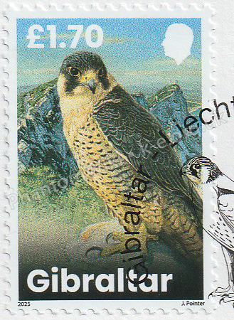 File:GI-SG-U2142.jpg
