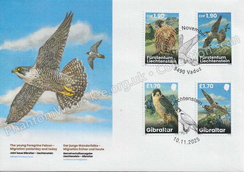 File:LI-GI-Young-Peregrine-Falcons-2025-FDC.jpg