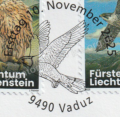 File:LI-Young-Peregrine-Falcons-2025-postmark.jpg