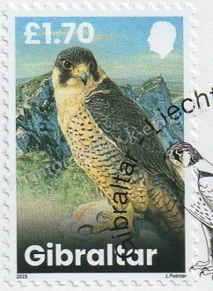 GI-SG-U2142