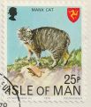 Manx cat