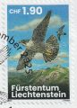 Adult peregrine falcons in flight over an Alpine landscape