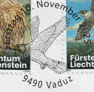 Main postmark for Young Peregrine Falcons – Migration now and then